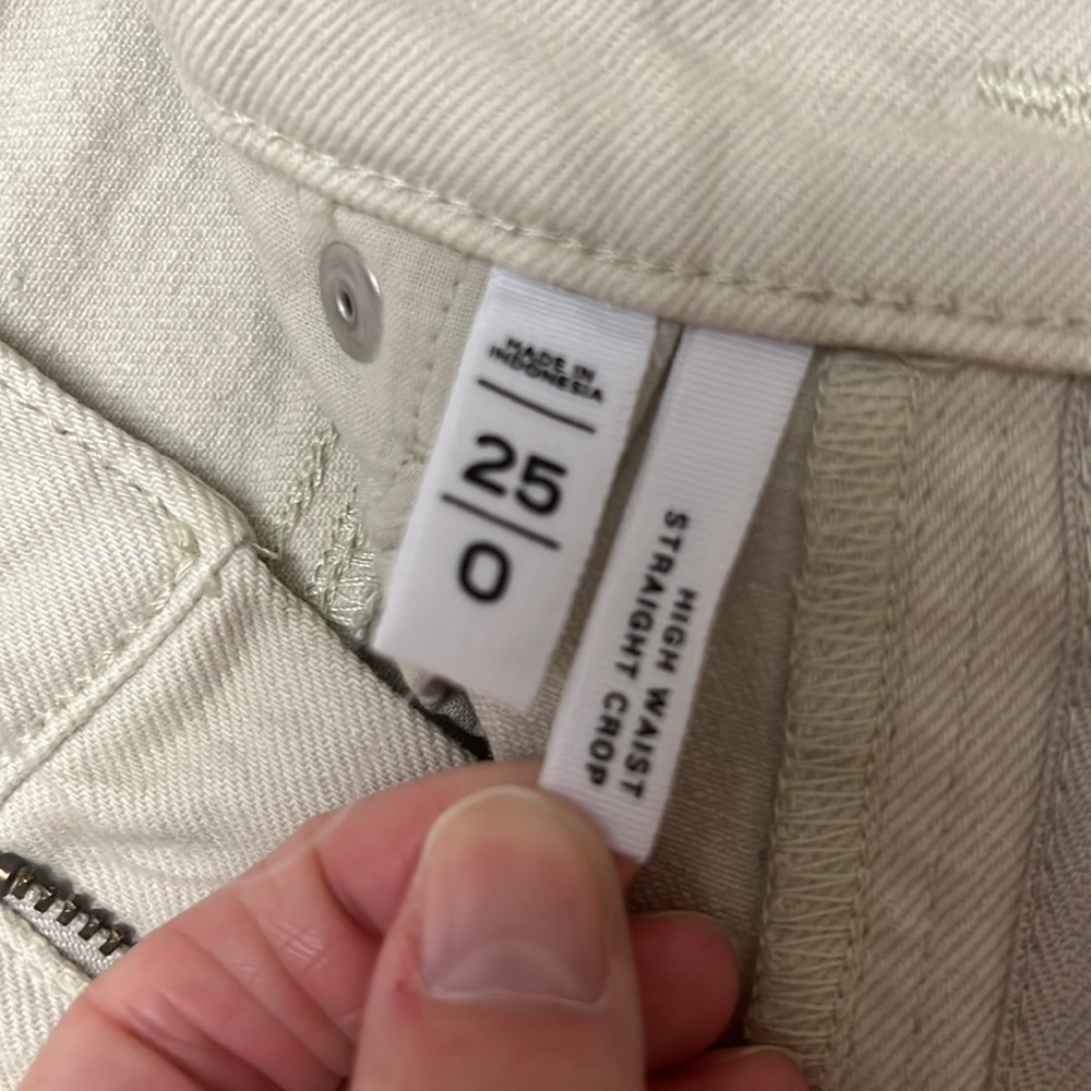 NWOT Loft pants - Picture 4 of 4